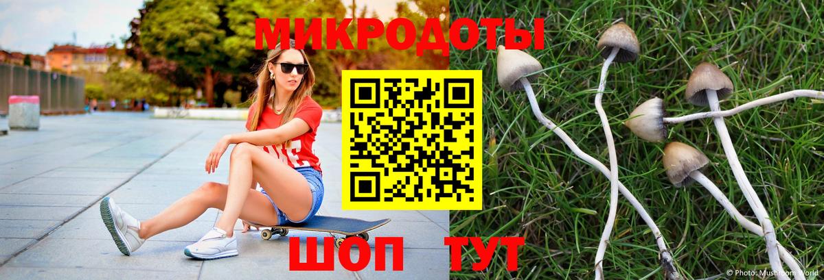 Псилоцибиновые грибы ЛСД  Вход с VPN  Вязники 