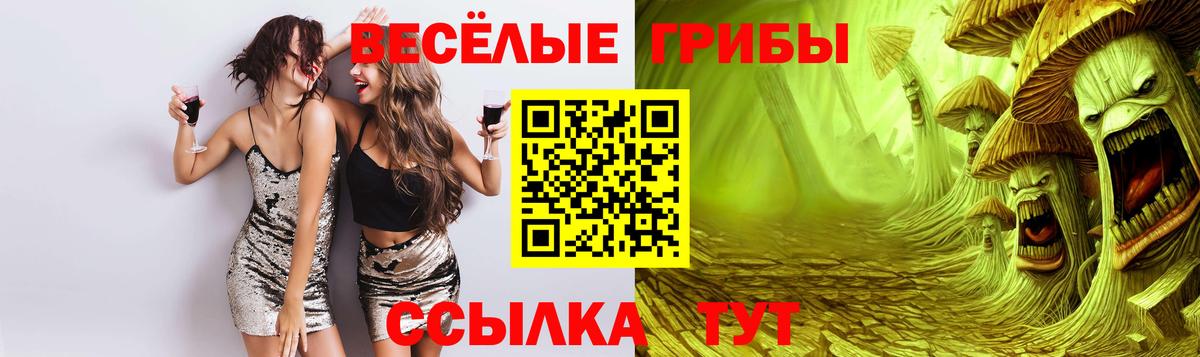 Галлюциногенные грибы GOLDEN TEACHER Вязники